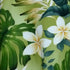 Frangipani Monstera Fern Girl's 2pc Hawaiian Cabana Set