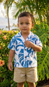 Delicate Tropical Hawaiian Aloha Boys 2pc Cabana Set
