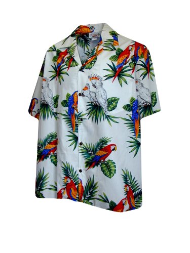 Patchwork Tropical Toucan Print Men's Sweatshirt