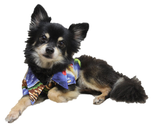 RJC Hibiscus Hawaiian Islands Matching Family Shirt for Dogs