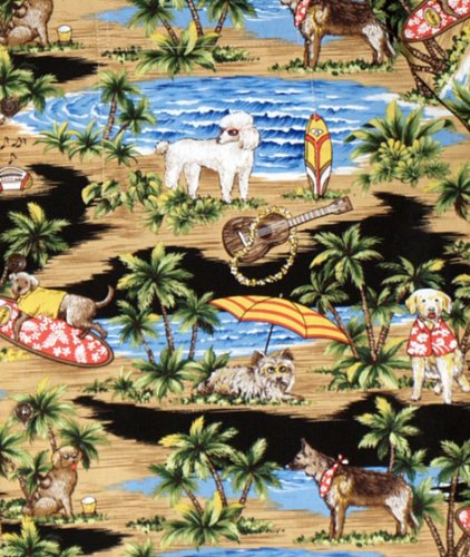 RJC Boys 6 Months to 6 Toddler Doggie Surfboard 2pc Set