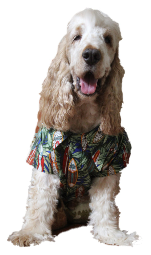 RJC Surfboards Collection Matching Family Shirt for Dogs